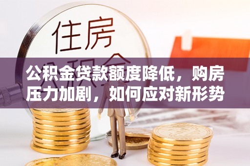 坪山新区公积金贷款额度降低，购房压力加剧，如何应对新形势？