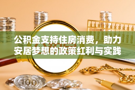 坪山新区公积金支持住房消费，助力安居梦想的政策红利与实践