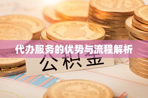 坪山新区代办服务的优势与流程解析