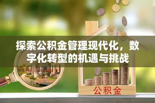 坪山新区探索公积金管理现代化，数字化转型的机遇与挑战