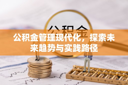 坪山新区公积金管理现代化，探索未来趋势与实践路径