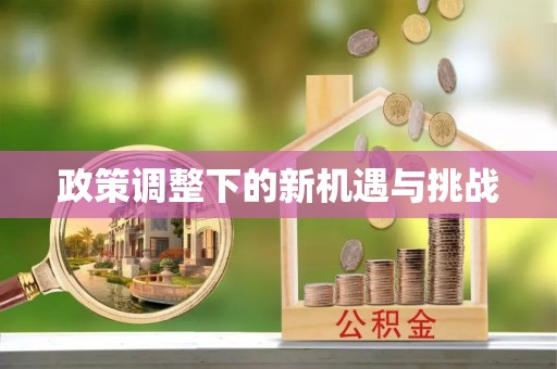 坪山新区政策调整下的新机遇与挑战