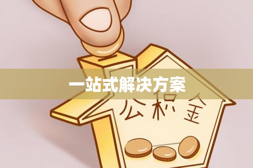 坪山新区一站式解决方案