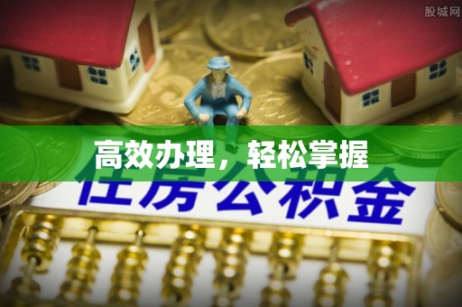 坪山新区高效办理，轻松掌握