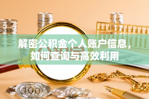 坪山新区解密公积金个人账户信息，如何查询与高效利用