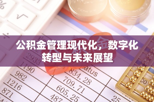 坪山新区公积金管理现代化，数字化转型与未来展望