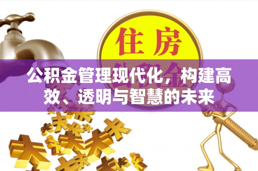 坪山新区公积金管理现代化，构建高效、透明与智慧的未来