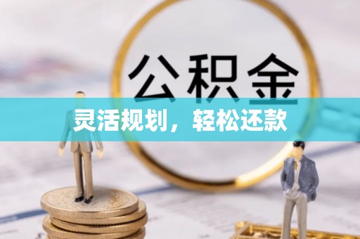 坪山新区灵活规划，轻松还款