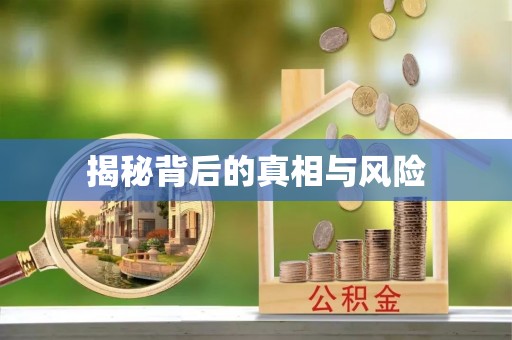 坪山新区揭秘背后的真相与风险