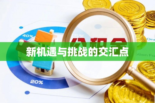 坪山新区新机遇与挑战的交汇点