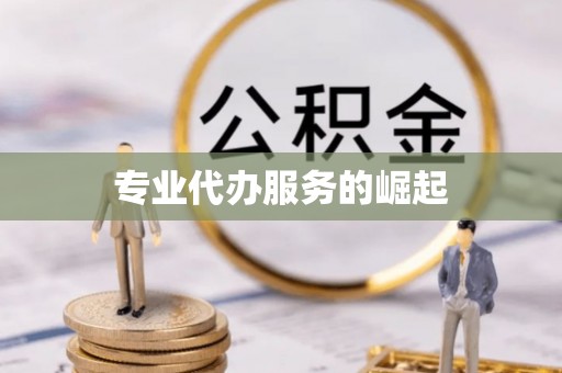 坪山新区专业代办服务的崛起