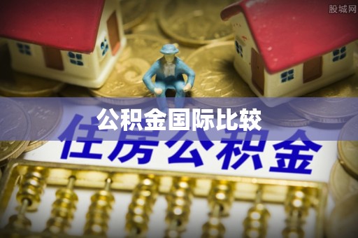 坪山新区公积金国际比较