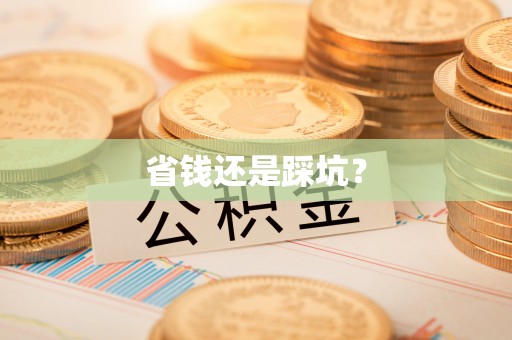 坪山新区省钱还是踩坑？