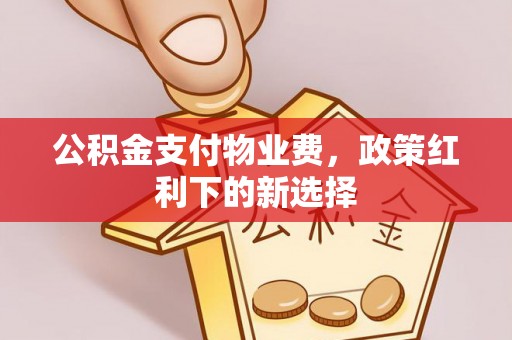 坪山新区公积金支付物业费，政策红利下的新选择