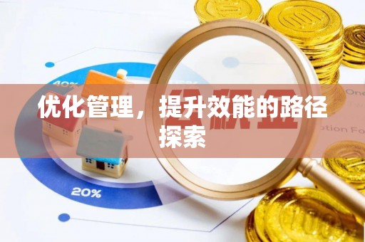 坪山新区优化管理，提升效能的路径探索
