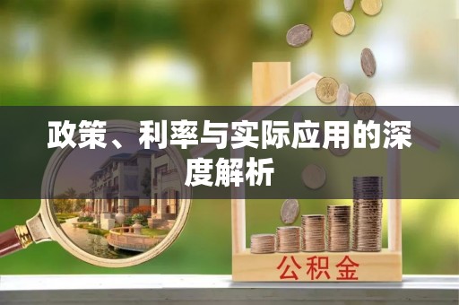 坪山新区政策、利率与实际应用的深度解析