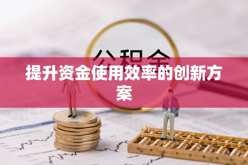 坪山新区提升资金使用效率的创新方案