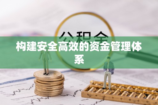 坪山新区构建安全高效的资金管理体系