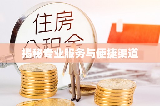 坪山新区揭秘专业服务与便捷渠道
