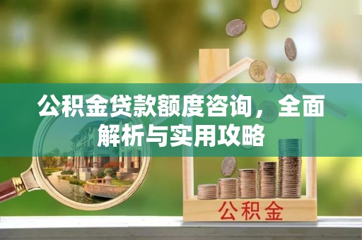 坪山新区公积金贷款额度咨询，全面解析与实用攻略