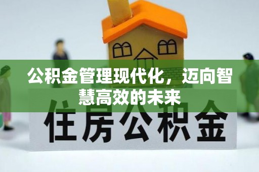 坪山新区公积金管理现代化，迈向智慧高效的未来