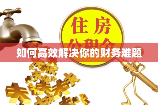 坪山新区如何高效解决你的财务难题