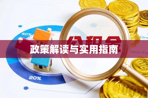 坪山新区政策解读与实用指南