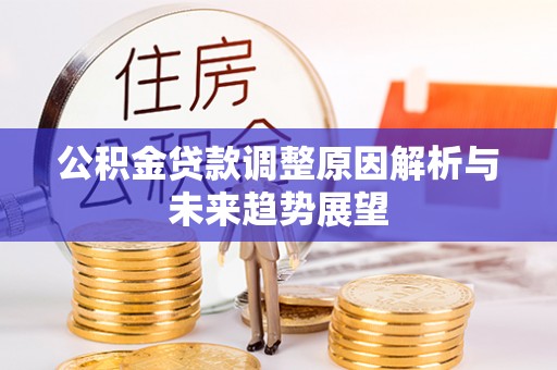 坪山新区公积金贷款调整原因解析与未来趋势展望
