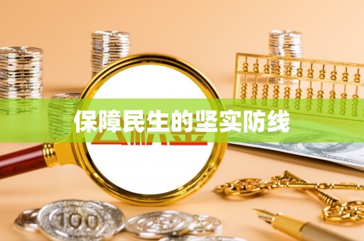 坪山新区保障民生的坚实防线