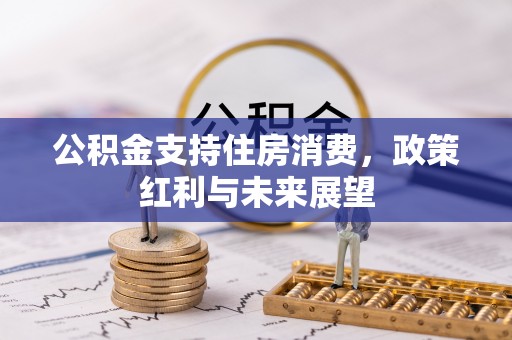坪山新区公积金支持住房消费，政策红利与未来展望