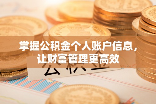 坪山新区掌握公积金个人账户信息，让财富管理更高效