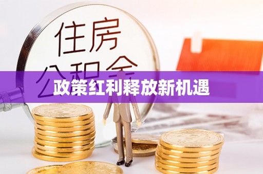 坪山新区政策红利释放新机遇