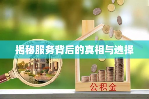 坪山新区揭秘服务背后的真相与选择