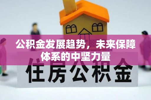 坪山新区公积金发展趋势，未来保障体系的中坚力量