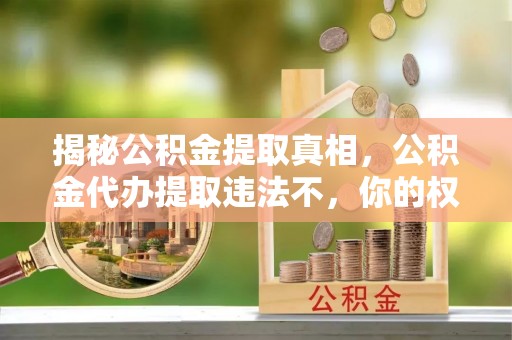 坪山新区揭秘公积金提取真相，公积金代办提取违法不，你的权益如何保障？