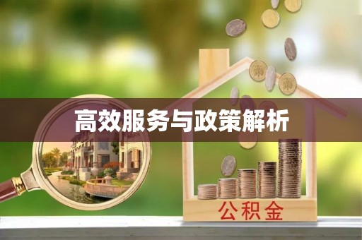 坪山新区高效服务与政策解析