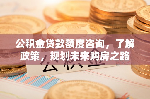 坪山新区公积金贷款额度咨询，了解政策，规划未来购房之路
