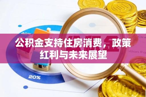 坪山新区公积金支持住房消费，政策红利与未来展望