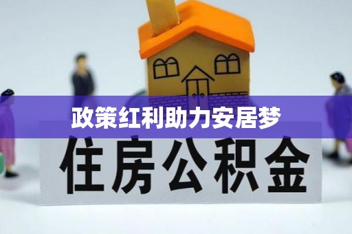 坪山新区政策红利助力安居梦