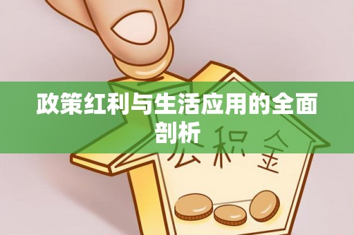 坪山新区政策红利与生活应用的全面剖析