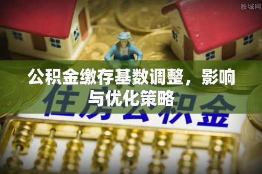 坪山新区公积金缴存基数调整，影响与优化策略