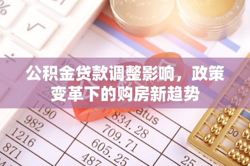 坪山新区公积金贷款调整影响，政策变革下的购房新趋势