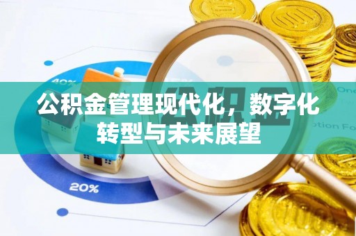 坪山新区公积金管理现代化，数字化转型与未来展望