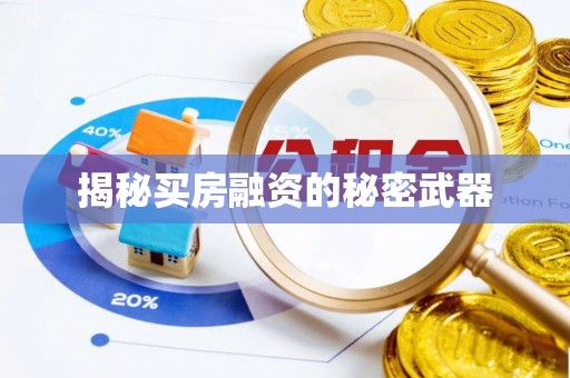 坪山新区揭秘买房融资的秘密武器