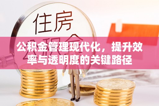 坪山新区公积金管理现代化，提升效率与透明度的关键路径