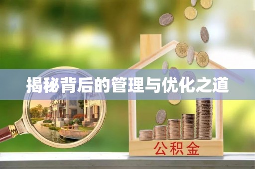 坪山新区揭秘背后的管理与优化之道