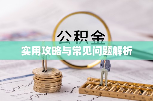 坪山新区实用攻略与常见问题解析
