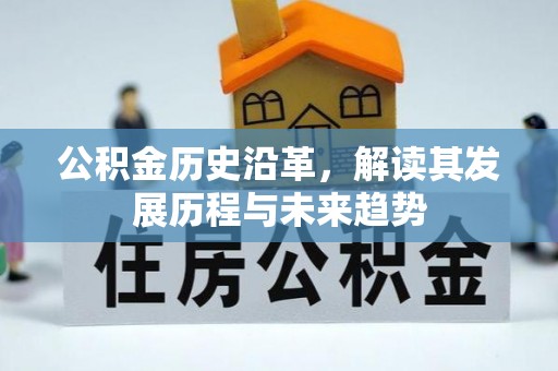 坪山新区公积金历史沿革，解读其发展历程与未来趋势