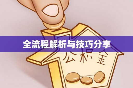 坪山新区全流程解析与技巧分享