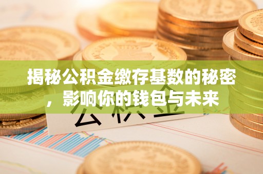 坪山新区揭秘公积金缴存基数的秘密，影响你的钱包与未来